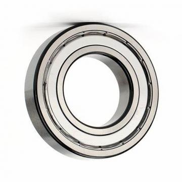 High Quality Hydraulic Dust Seal SKF Pad for Excavator