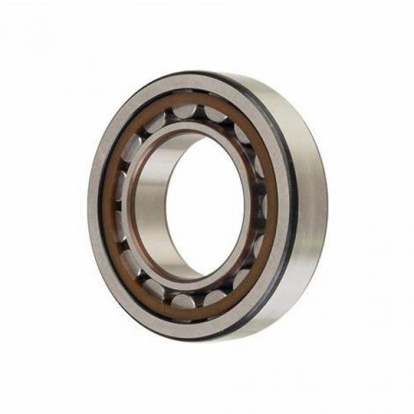 High quality Brass Cage cylindrical roller China Manufacturer OEM roller type bearing bearing NU217 NU217M #1 image
